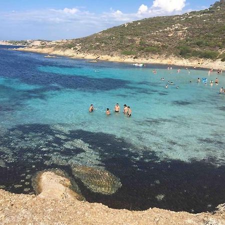 Exceptionnelle Vue Mer Calvi - Piscine - T2 Dış mekan fotoğraf