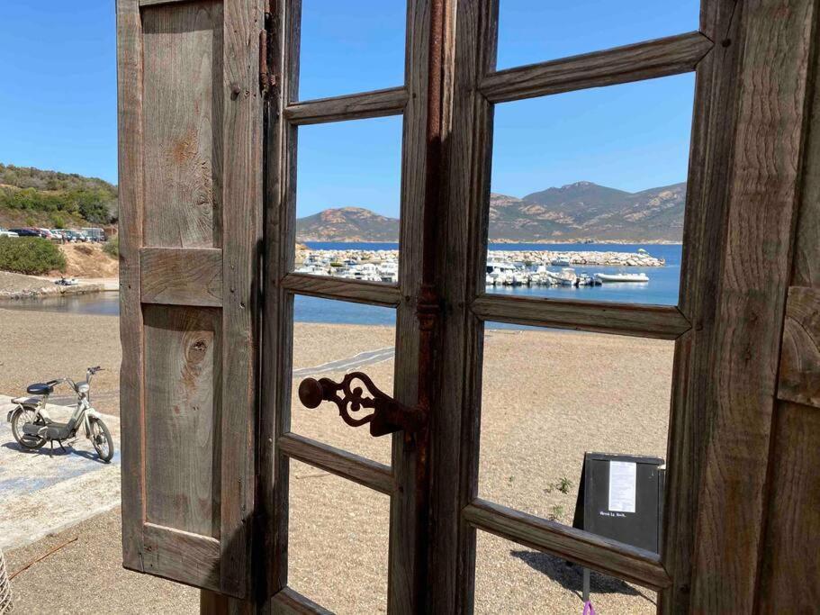 Exceptionnelle Vue Mer Calvi - Piscine - T2 Dış mekan fotoğraf