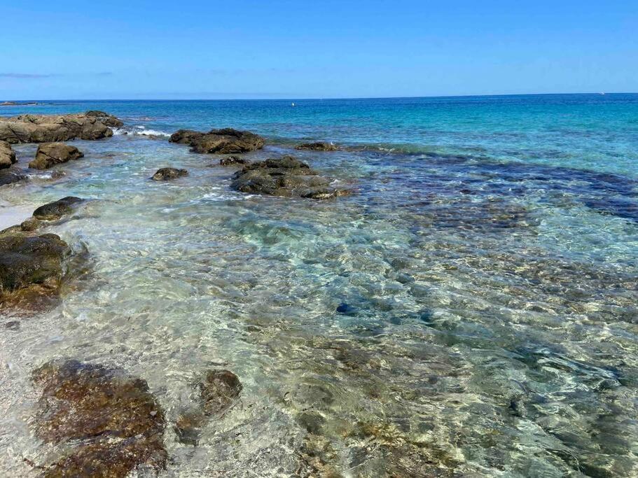Exceptionnelle Vue Mer Calvi - Piscine - T2 Dış mekan fotoğraf