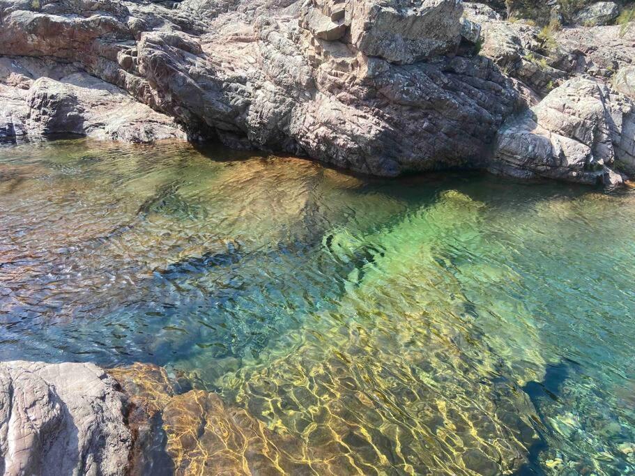 Exceptionnelle Vue Mer Calvi - Piscine - T2 Dış mekan fotoğraf