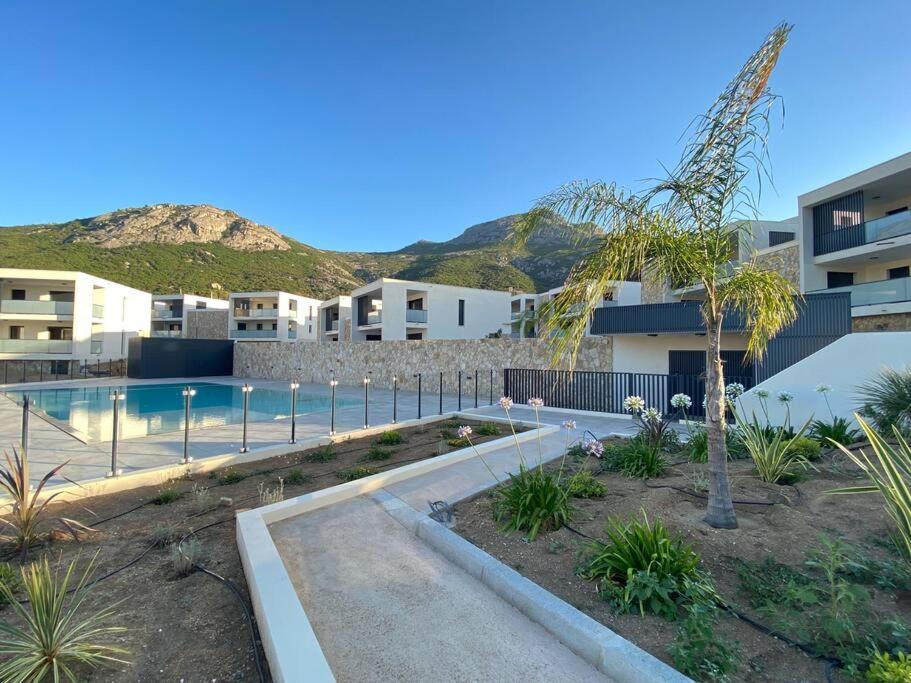 Exceptionnelle Vue Mer Calvi - Piscine - T2 Dış mekan fotoğraf