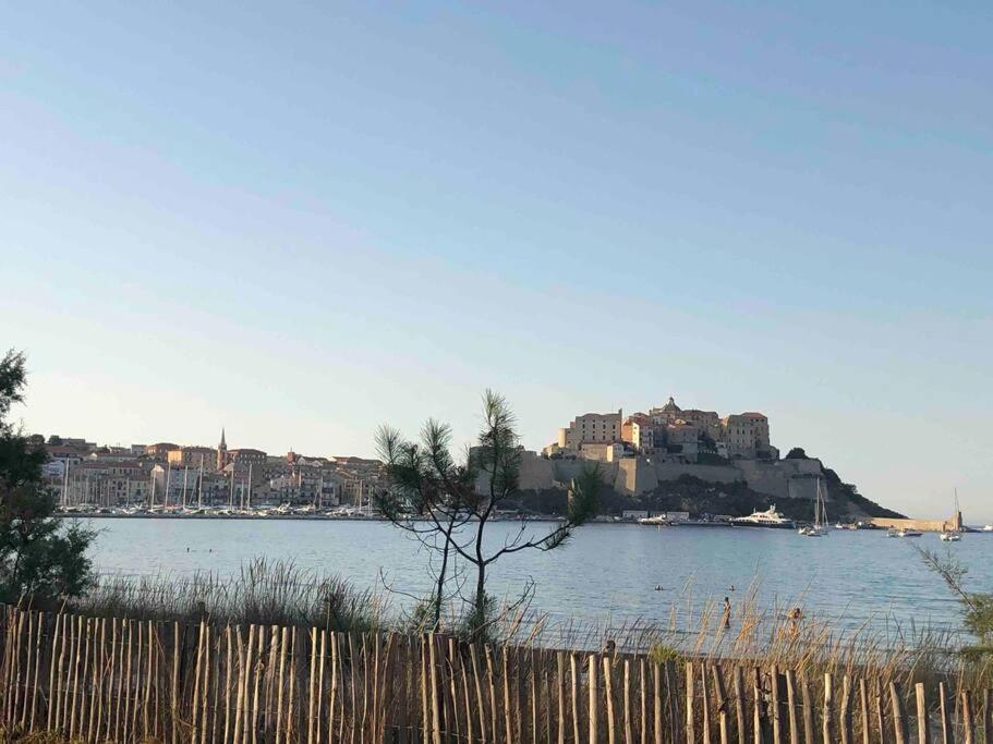 Exceptionnelle Vue Mer Calvi - Piscine - T2 Dış mekan fotoğraf